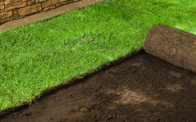Sod Installation Services in Toledo, OH