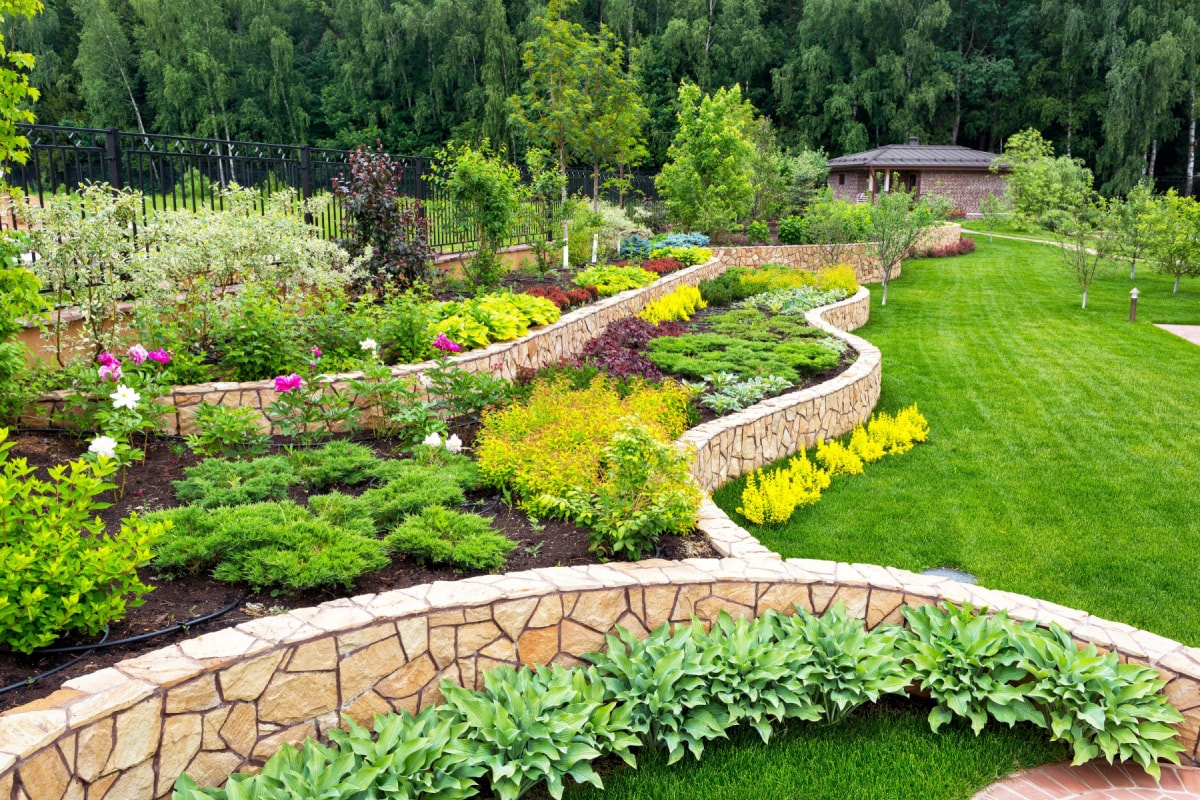 Landscape Design in Louisville project 3