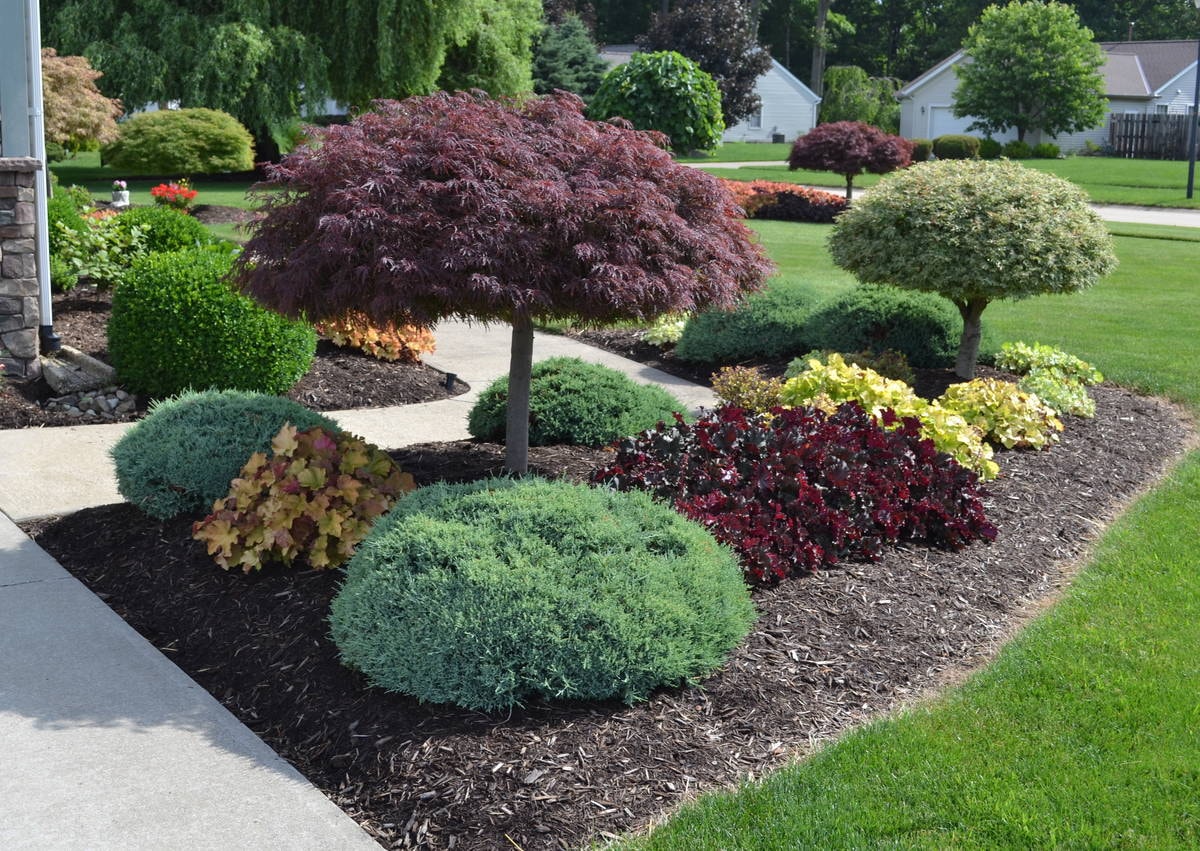 Landscape Design in Louisville project 7