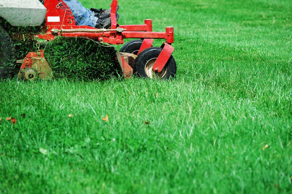 Lawn Maintenance in Louisville project 2
