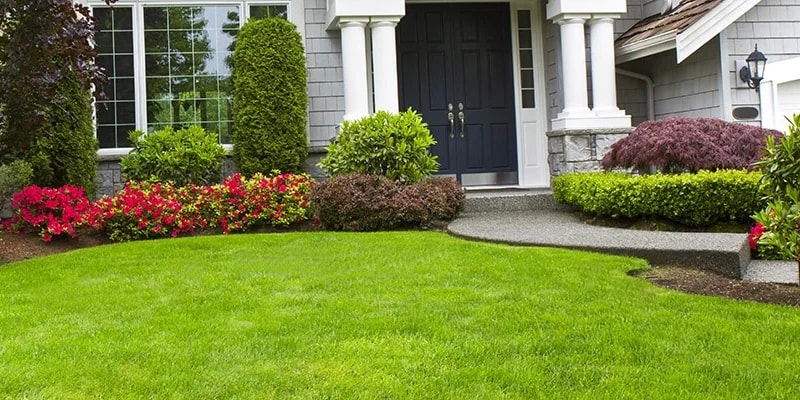Lawn Maintenance in Louisville project 3