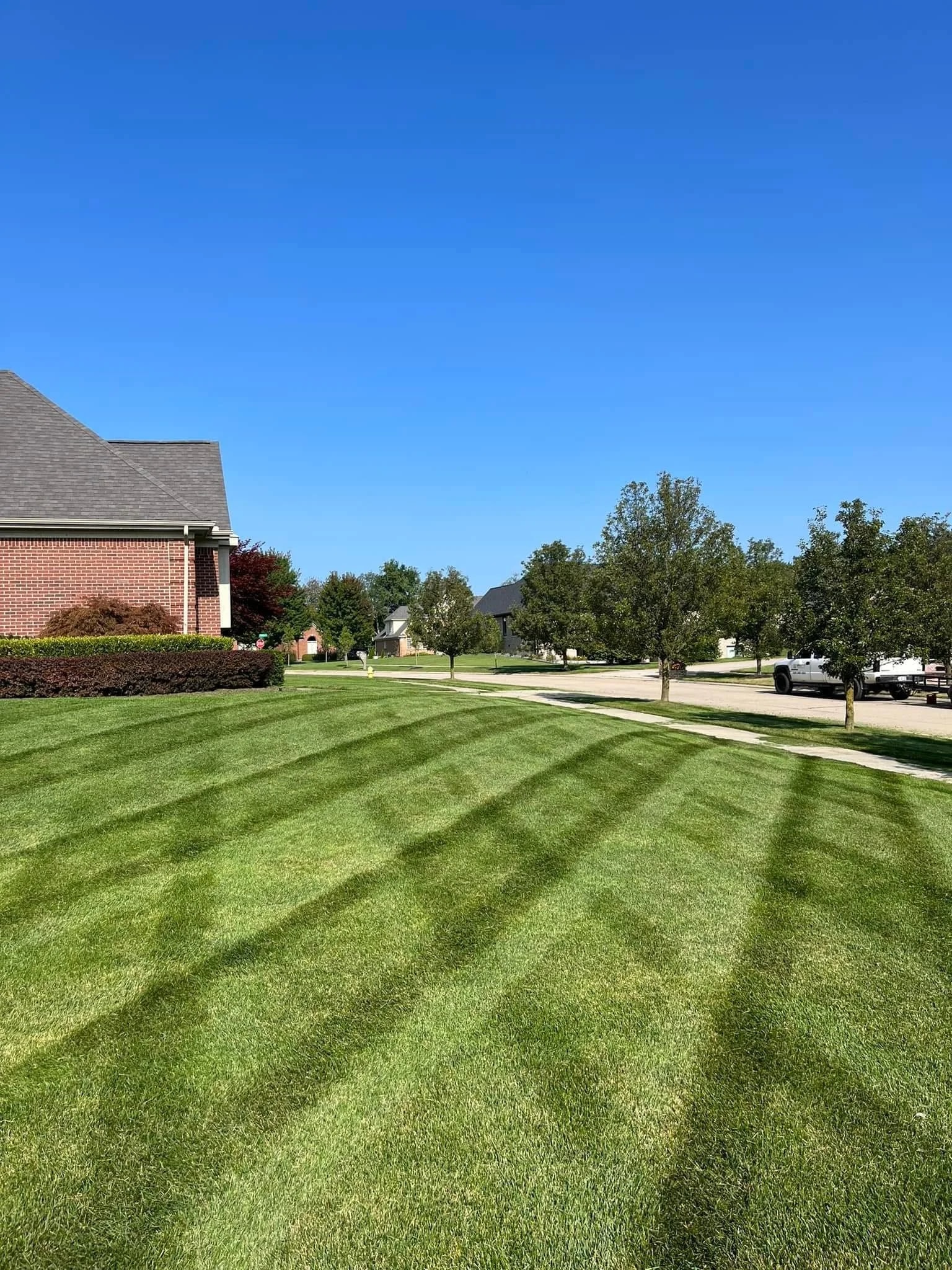 Lawn Maintenance in Louisville project 4