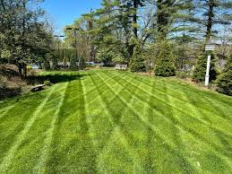 Lawn Maintenance in Louisville project 5