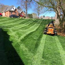 Lawn Maintenance in Louisville project 6