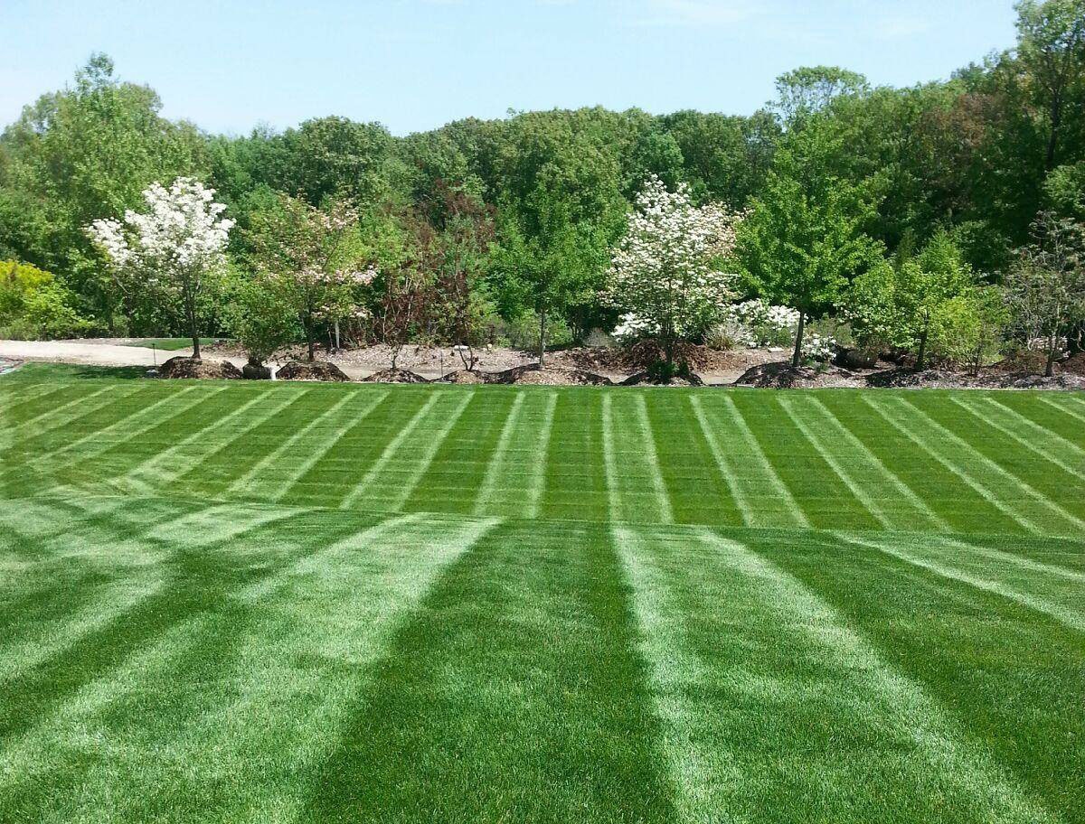 Lawn Maintenance in Louisville project 7