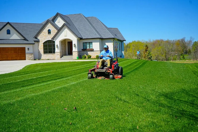 Lawn Maintenance in Louisville project 8