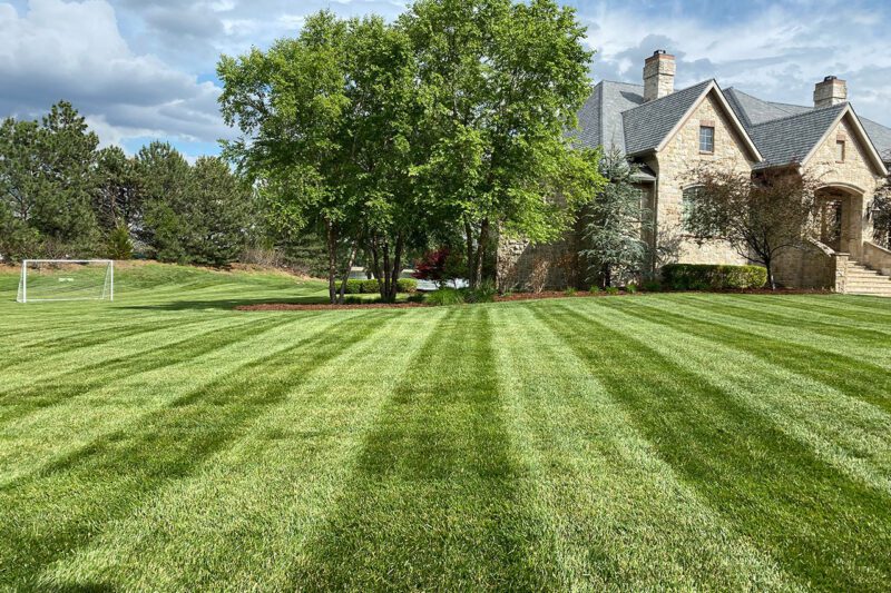 Lawn Maintenance in Louisville project 9