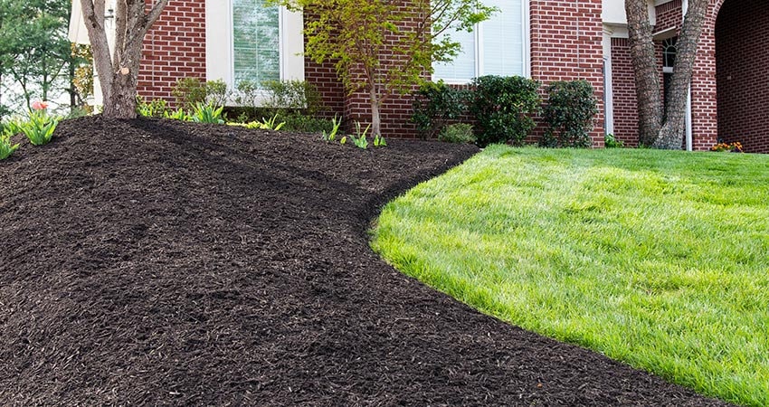 Mulch  project 2