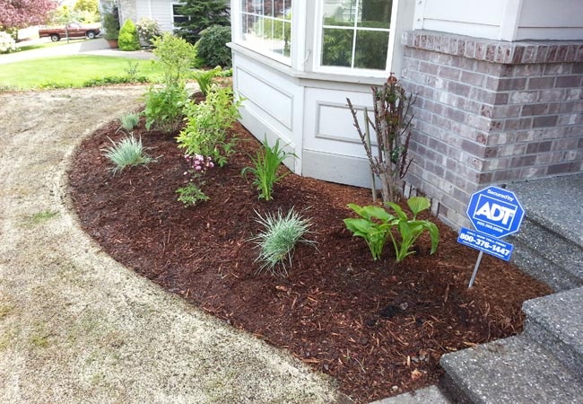 Mulch  project 3