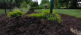 Mulch  project 6