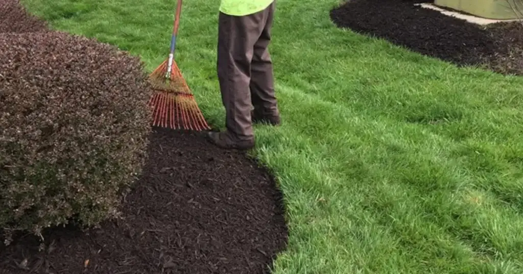 Mulch  project 7