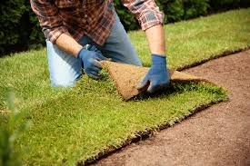 Sod Installation project 4
